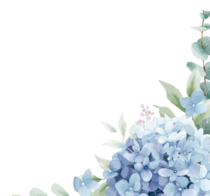 Flores direita